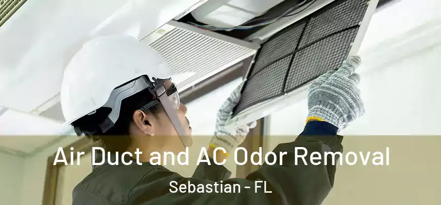 Air Duct and AC Odor Removal Sebastian - FL