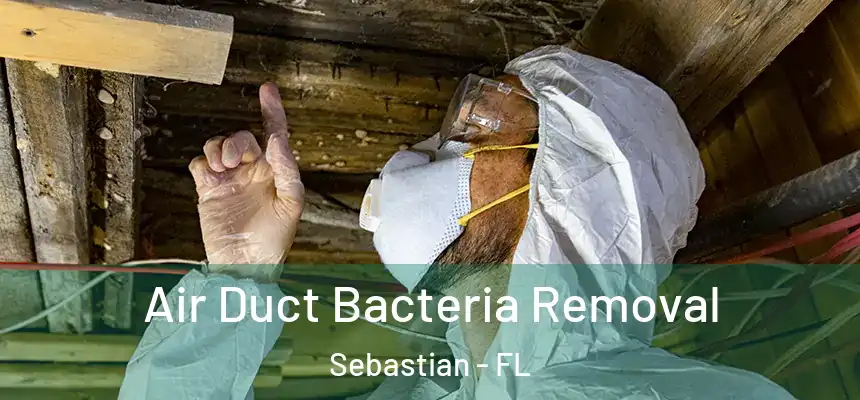 Air Duct Bacteria Removal Sebastian - FL