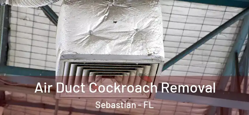 Air Duct Cockroach Removal Sebastian - FL