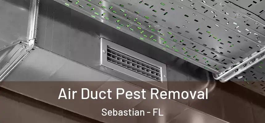 Air Duct Pest Removal Sebastian - FL