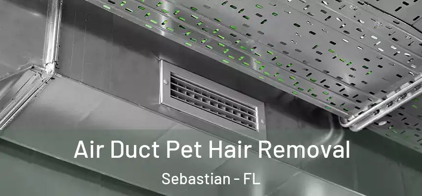 Air Duct Pet Hair Removal Sebastian - FL