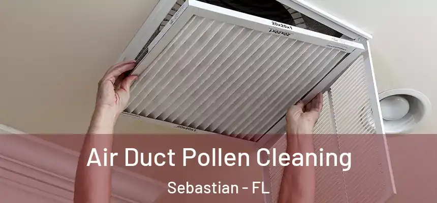 Air Duct Pollen Cleaning Sebastian - FL