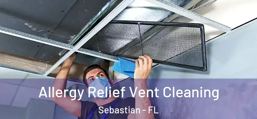 Allergy Relief Vent Cleaning Sebastian - FL