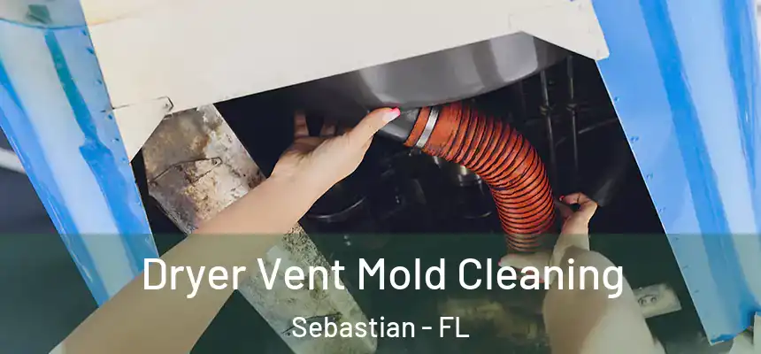 Dryer Vent Mold Cleaning Sebastian - FL