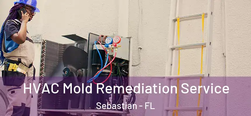 HVAC Mold Remediation Service Sebastian - FL