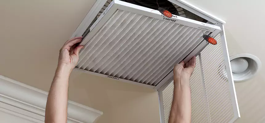 Preventive Cockroach-Proofing for Ducts in Sebastian