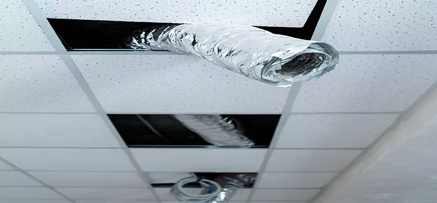 Affordable HVAC Sanitizing After Pest Removal in Sebastian