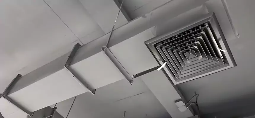 Our Pest Removal From Ducts Services in Sebastian, FL