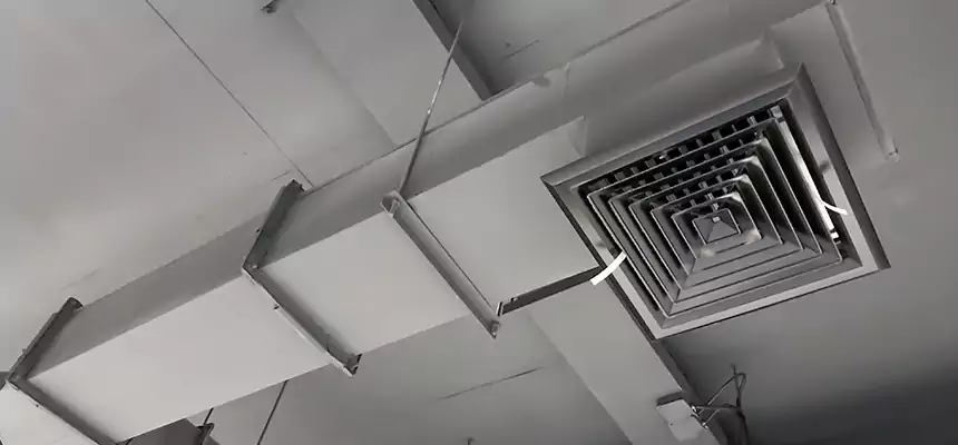 Our Rodent Droppings In Vents Services in Sebastian, FL