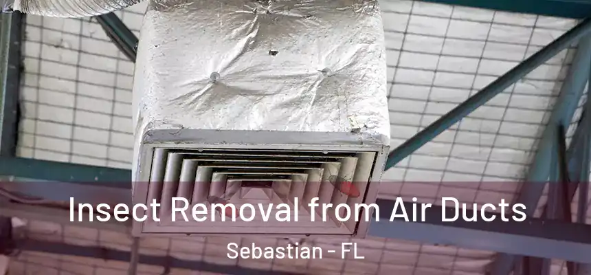 Insect Removal from Air Ducts Sebastian - FL