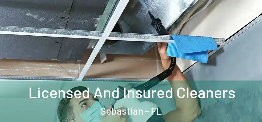 Licensed And Insured Cleaners Sebastian - FL