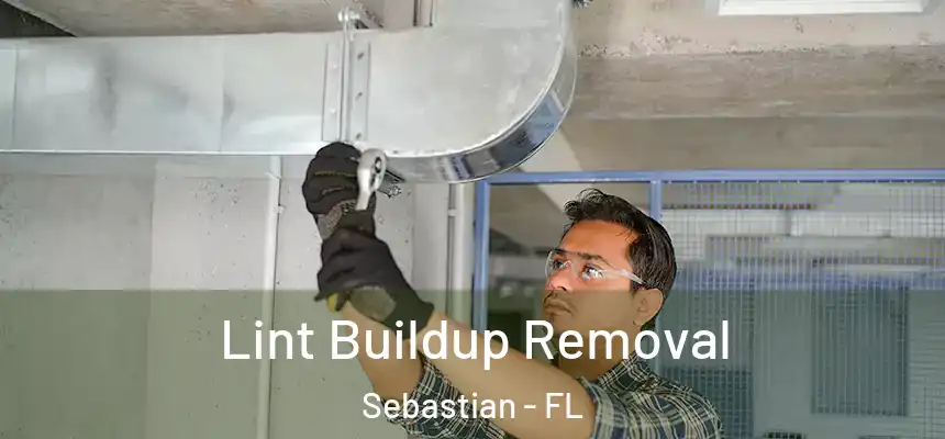 Lint Buildup Removal Sebastian - FL