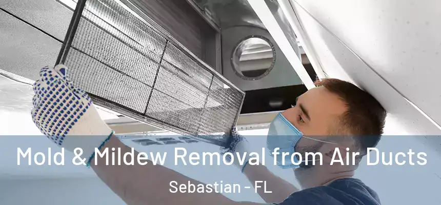 Mold & Mildew Removal from Air Ducts Sebastian - FL