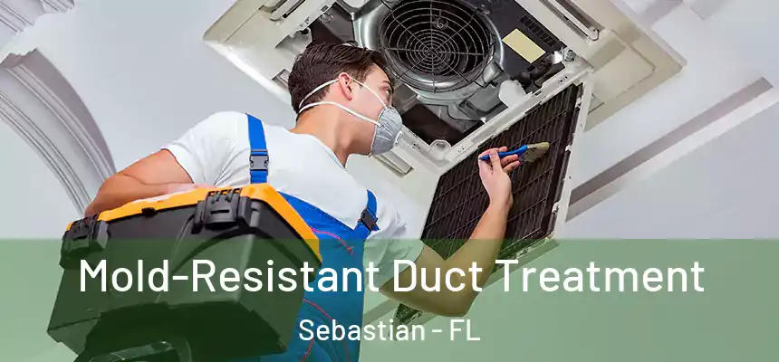 Mold-Resistant Duct Treatment Sebastian - FL