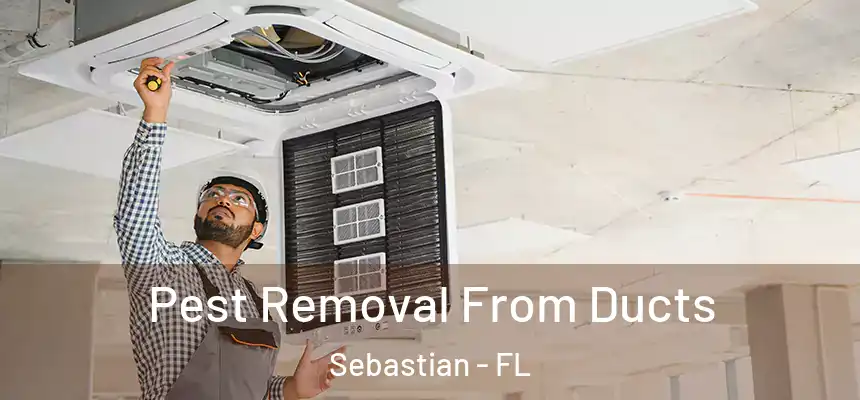 Pest Removal From Ducts Sebastian - FL