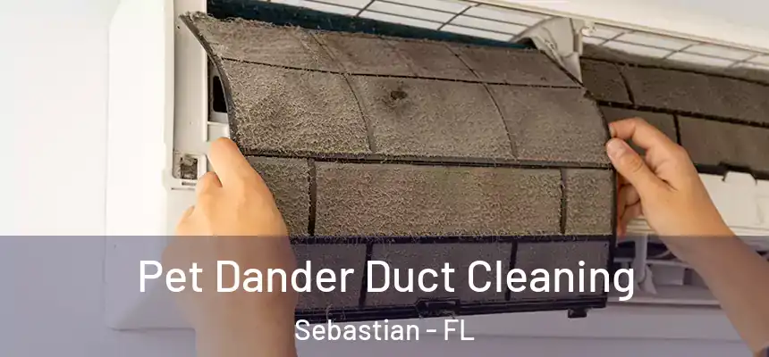 Pet Dander Duct Cleaning Sebastian - FL