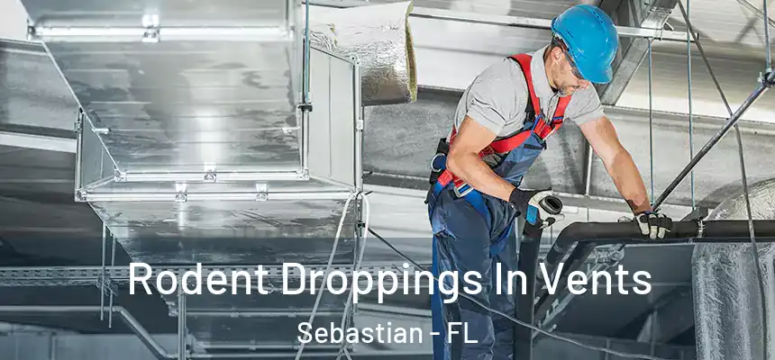 Rodent Droppings In Vents Sebastian - FL