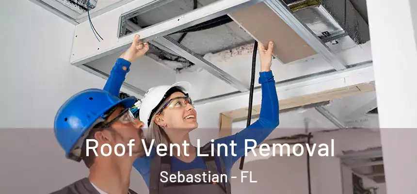 Roof Vent Lint Removal Sebastian - FL
