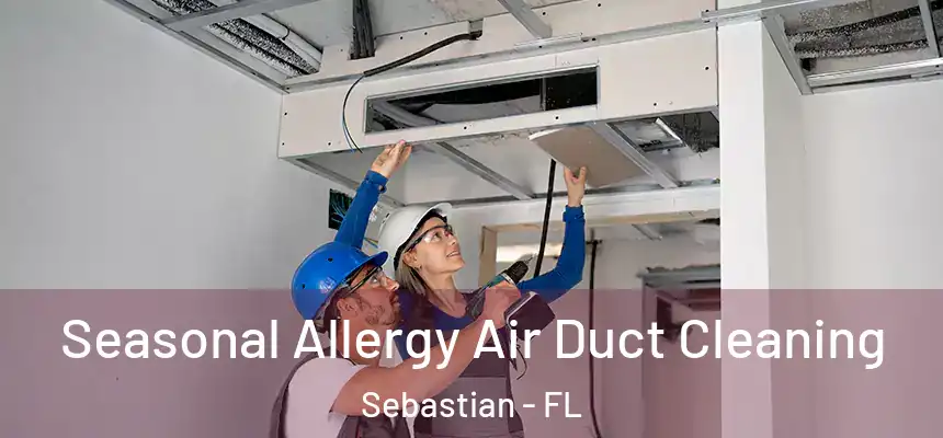 Seasonal Allergy Air Duct Cleaning Sebastian - FL