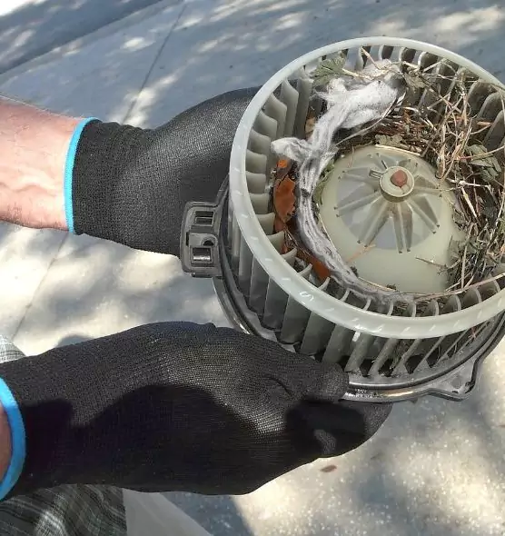 About Air Duct Mice Removal in Sebastian, FL
