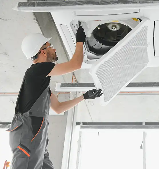 About Air Duct Rodent Removal in Sebastian, FL