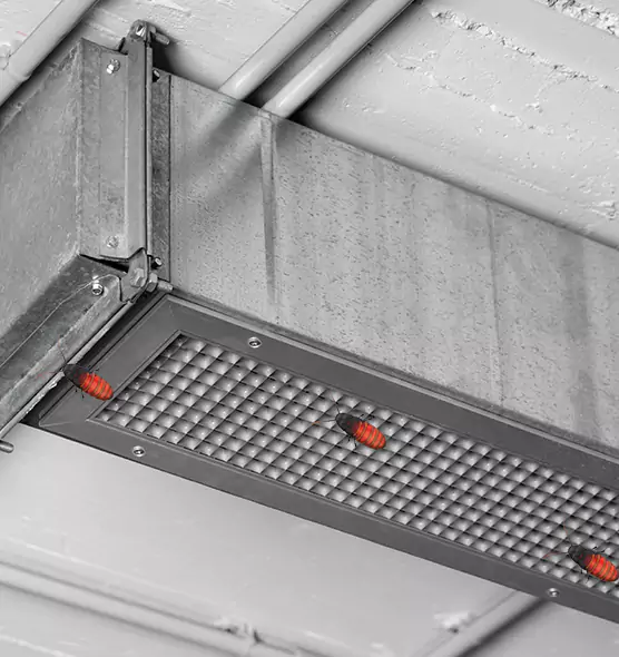Affordable Insect Removal from Air Ducts in Sebastian, FL