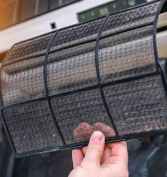 About Pet Dander Duct Cleaning in Sebastian, FL